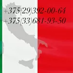 Переводчик итальянского языка Витебск