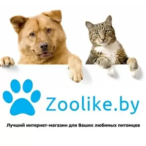 http://zoolike.by/ Интернет магазин товаров для собак,  лучшие цены