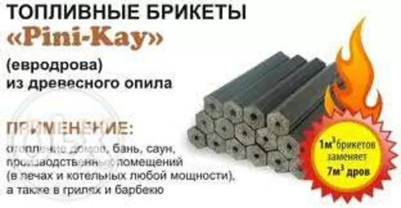 Линия по производству топливных брикетов PINI-KAY. 2