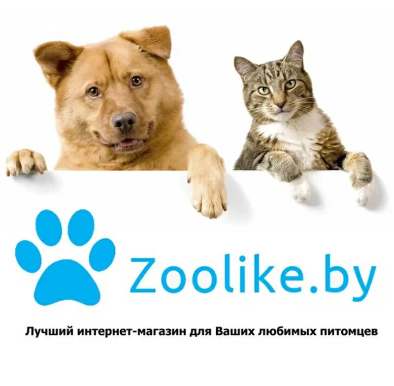http://zoolike.by/ Интернет магазин товаров для собак,  лучшие цены