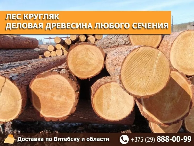 Деловая древесина любого сечения