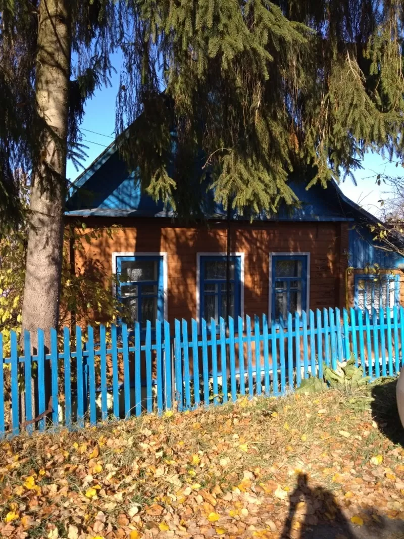 Деревянный дом по ул. Чунчина,  г. Витебск 4