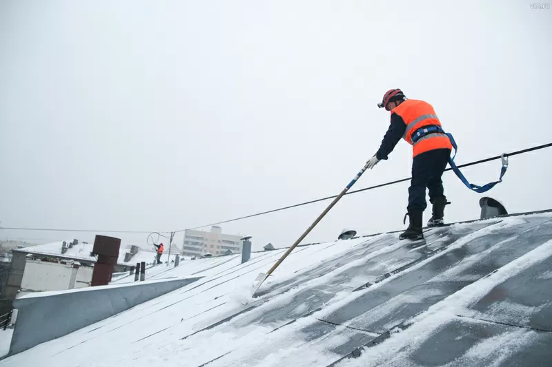 Услуги арбористов,  промышленный альпинизм и аренда спецтехники 8